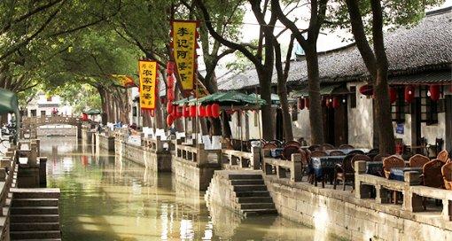 向影心：拿着丈夫当跳板，9年生8娃，因感冒被丈夫关进精神病医院